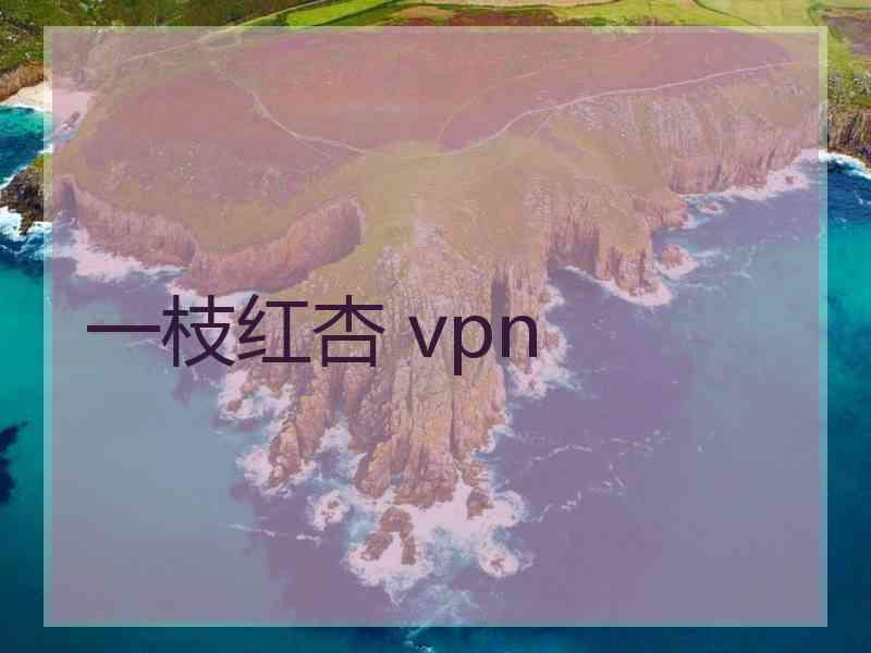 一枝红杏 vpn