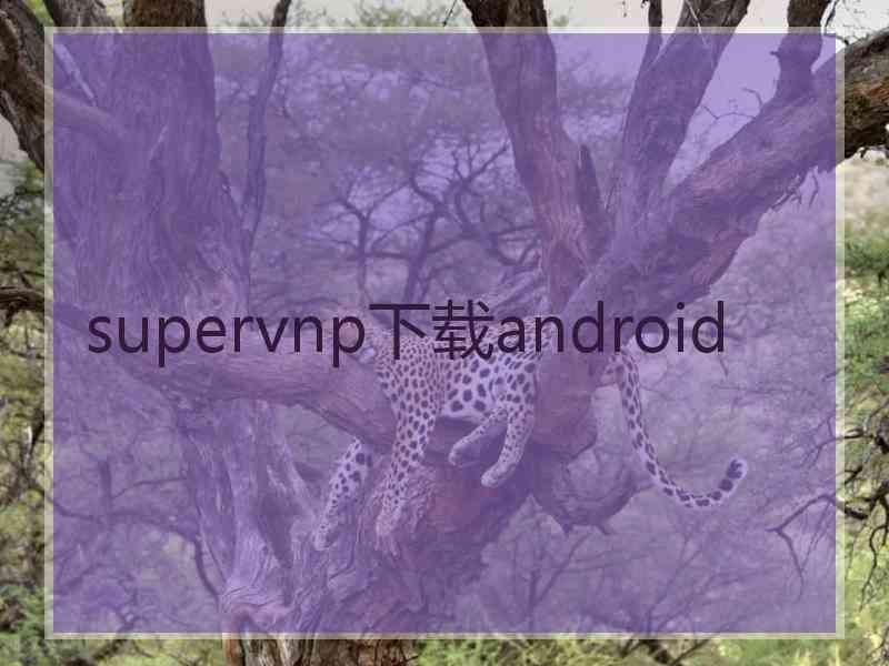 supervnp下载android