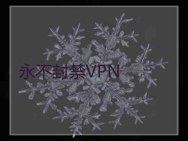 永不封禁VPN