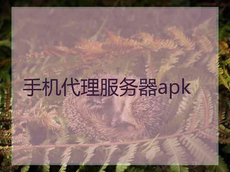 手机代理服务器apk