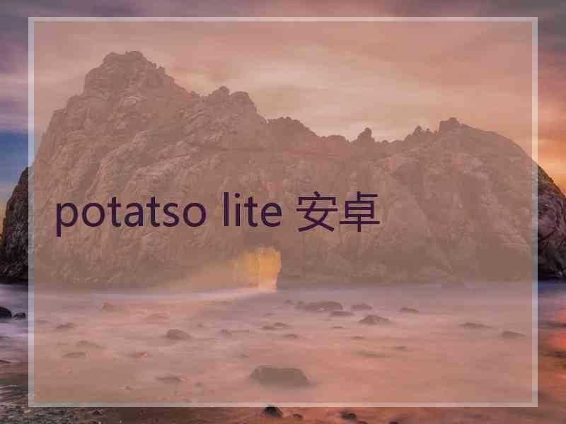 potatso lite 安卓