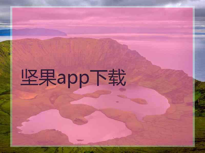 坚果app下载