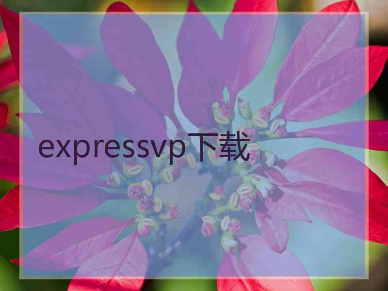 expressvp下载