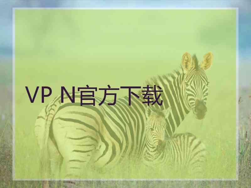 VP N官方下载