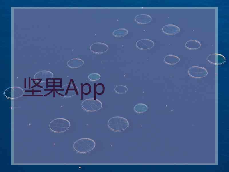 坚果App