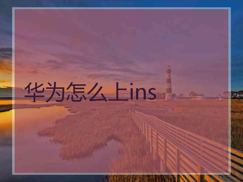 华为怎么上ins