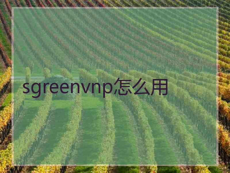 sgreenvnp怎么用