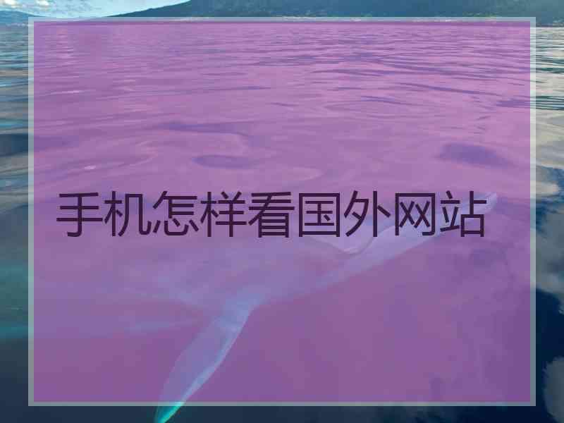 手机怎样看国外网站