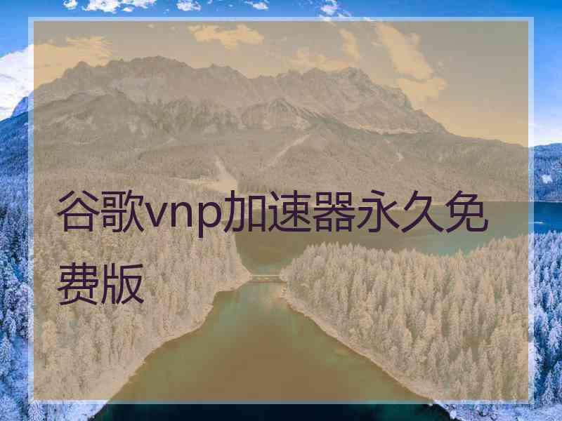 谷歌vnp加速器永久免费版