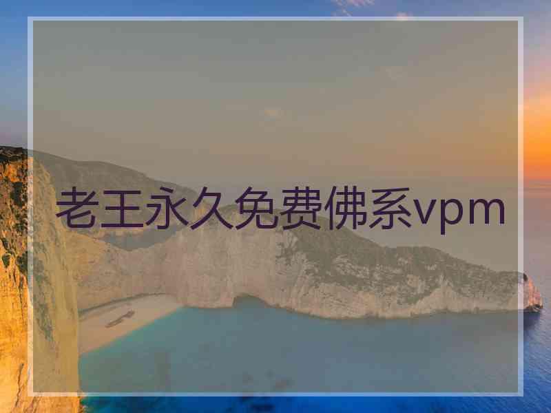 老王永久免费佛系vpm