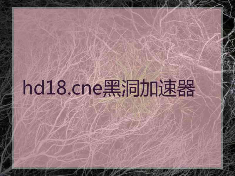 hd18.cne黑洞加速器