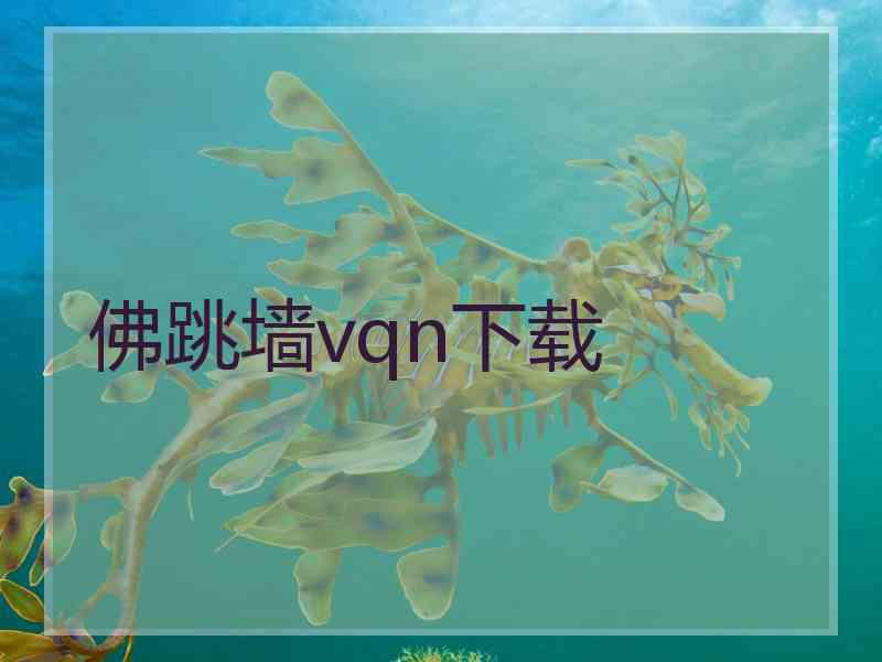 佛跳墙vqn下载