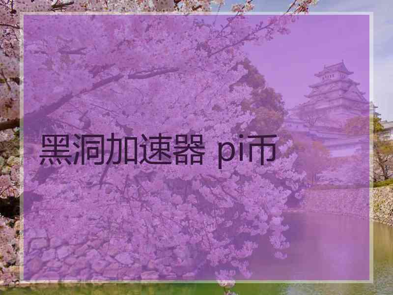 黑洞加速器 pi币