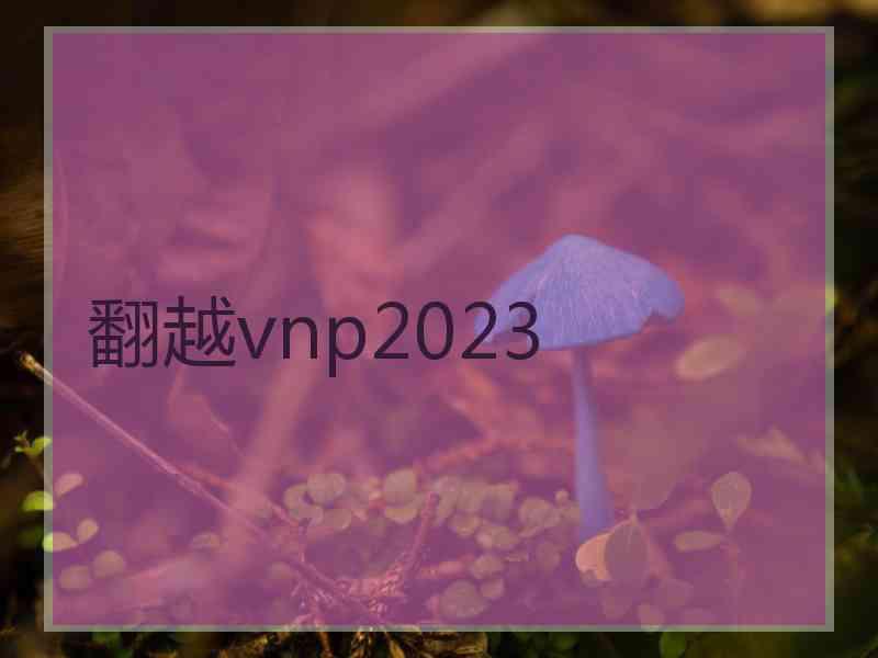 翻越vnp2023