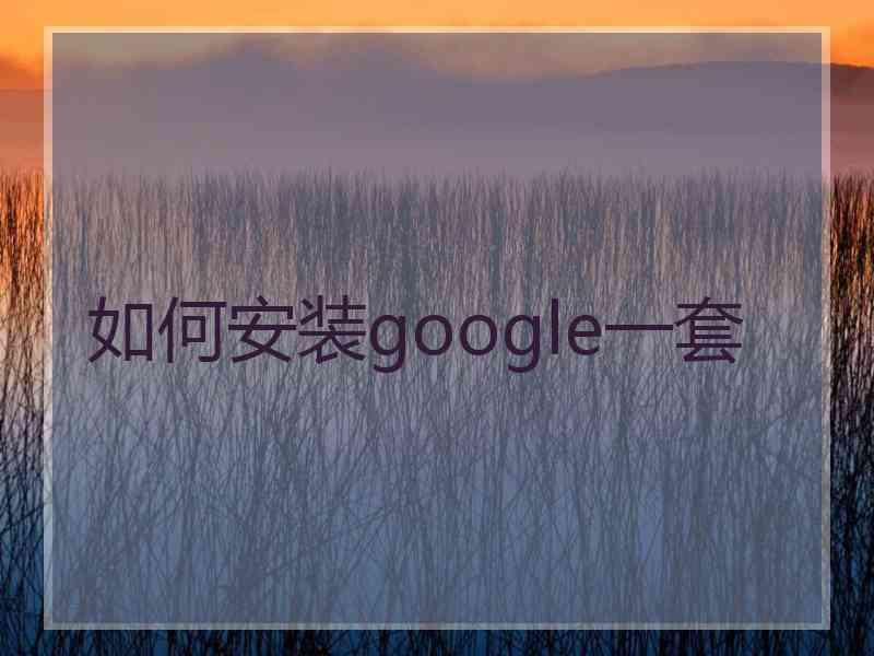 如何安装google一套