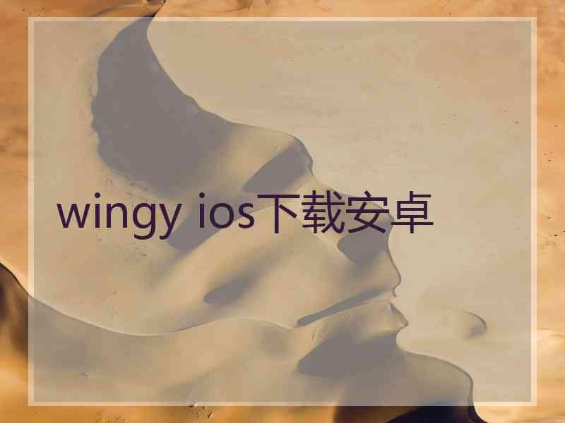 wingy ios下载安卓